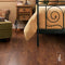 TLC Forest (Cherry 5182)