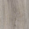 TLC Forest (Kendal Oak 5194)