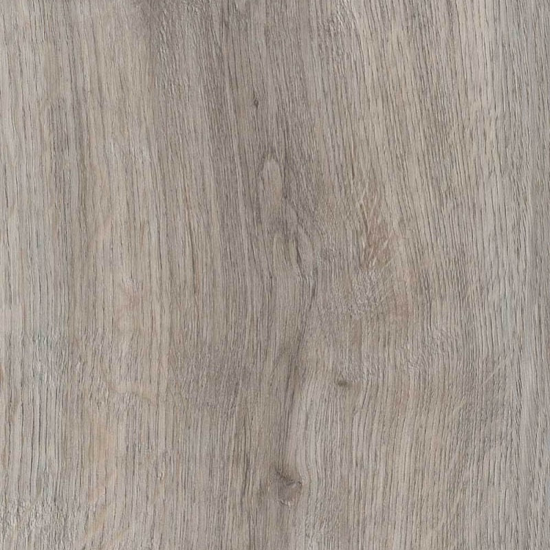 TLC Forest (Kendal Oak 5194)