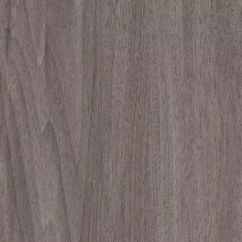 TLC Forest (Dartmouth Oak 5177)