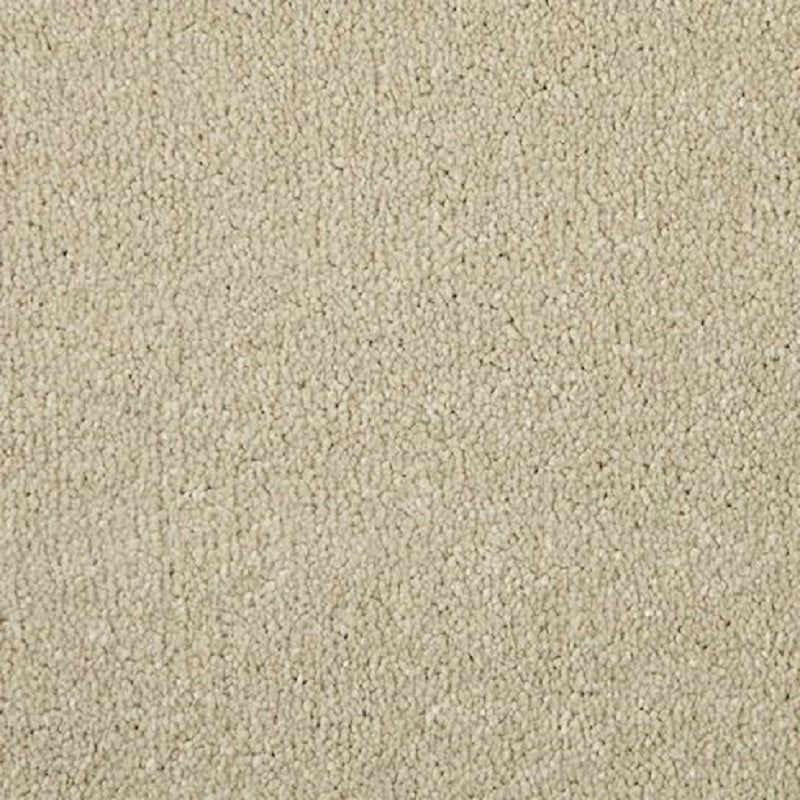 Cormar Apollo Elite (Pale Angora)