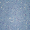 Gerflor Tarasafe Ultra H20 (Ocean Blue)
